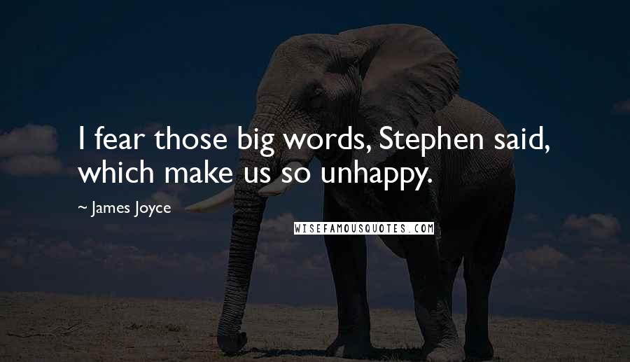 James Joyce Quotes: I fear those big words, Stephen said, which make us so unhappy.