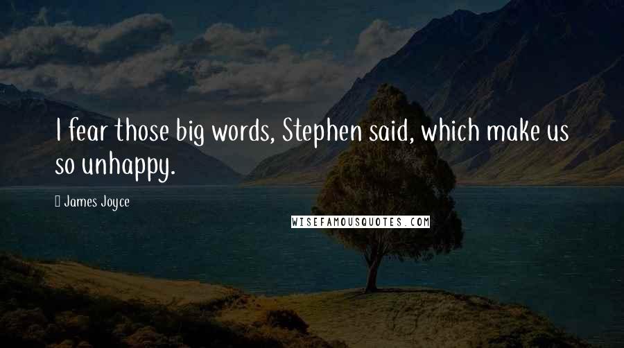 James Joyce Quotes: I fear those big words, Stephen said, which make us so unhappy.
