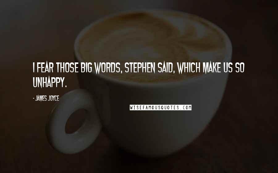 James Joyce Quotes: I fear those big words, Stephen said, which make us so unhappy.