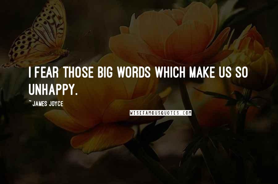 James Joyce Quotes: I fear those big words which make us so unhappy.