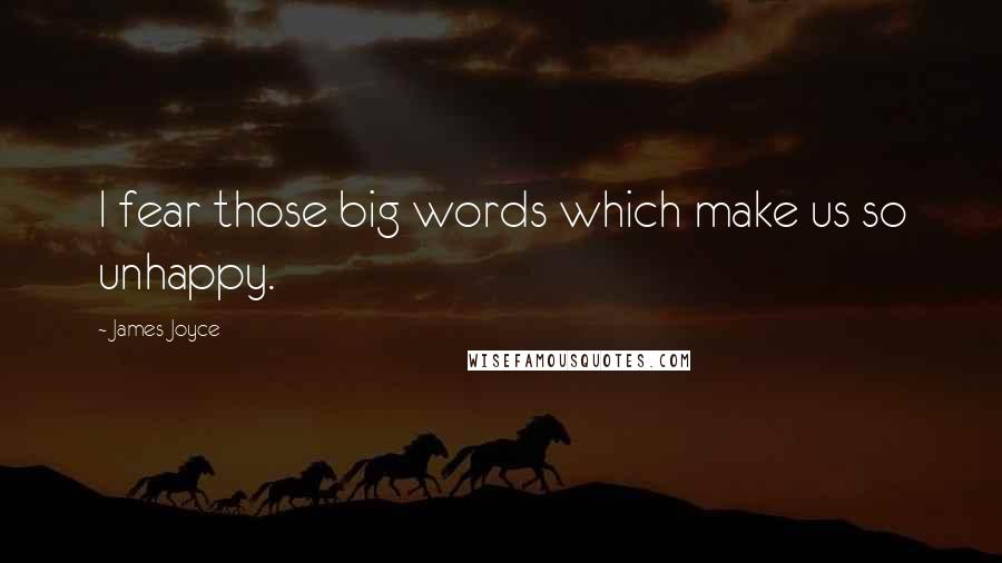 James Joyce Quotes: I fear those big words which make us so unhappy.