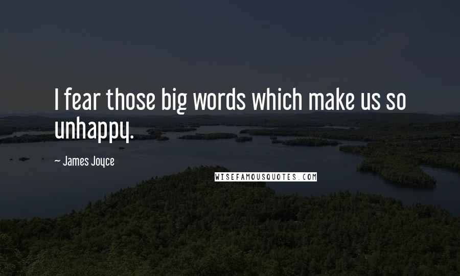 James Joyce Quotes: I fear those big words which make us so unhappy.