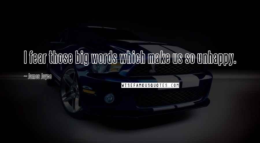 James Joyce Quotes: I fear those big words which make us so unhappy.
