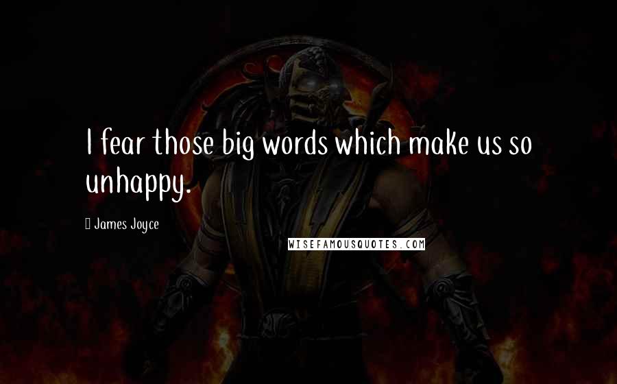 James Joyce Quotes: I fear those big words which make us so unhappy.