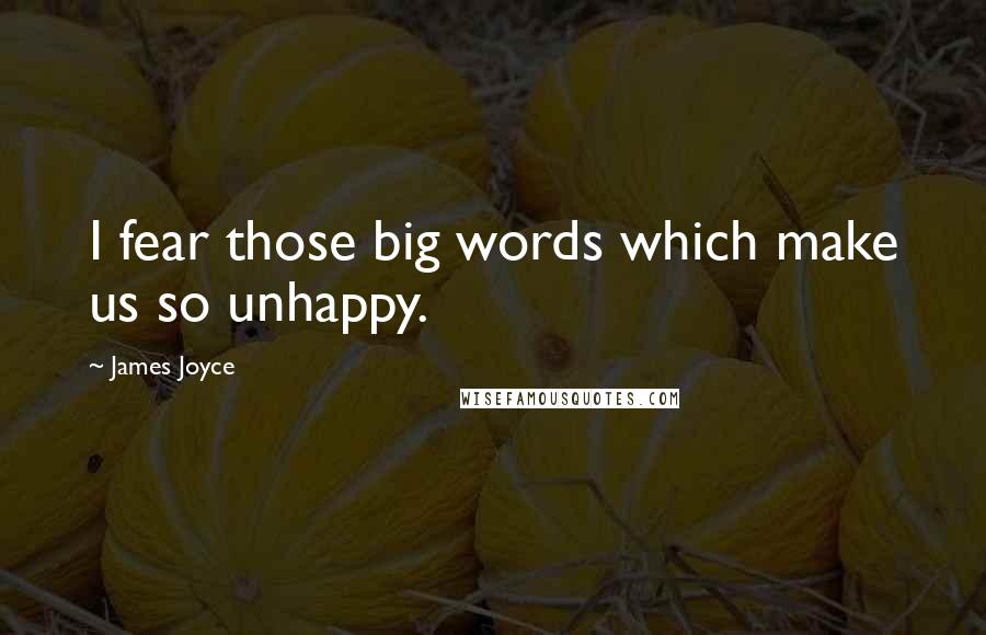 James Joyce Quotes: I fear those big words which make us so unhappy.