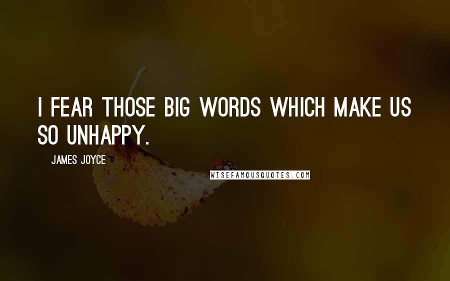 James Joyce Quotes: I fear those big words which make us so unhappy.