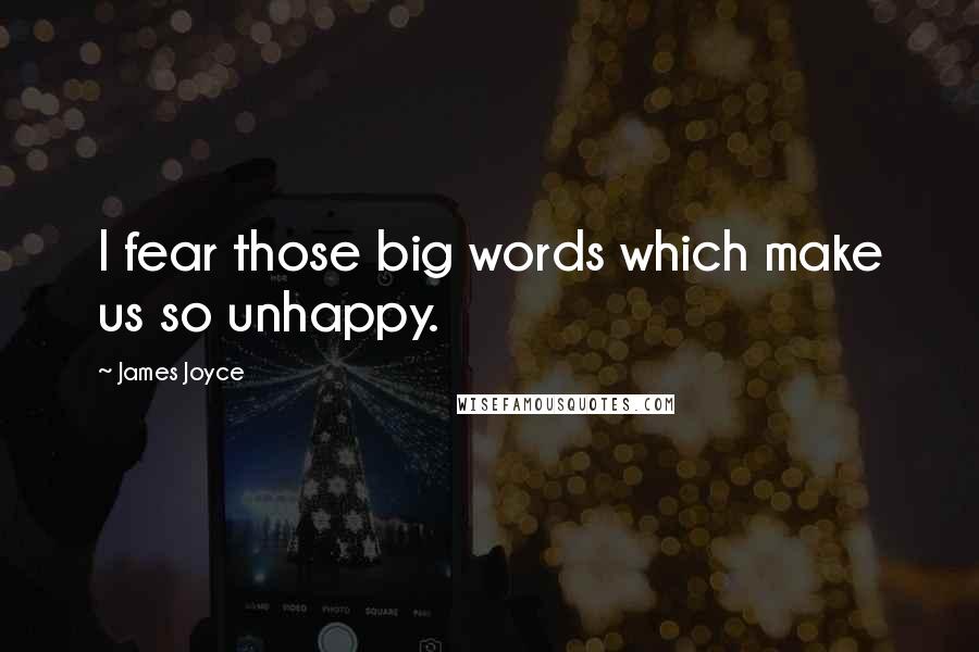 James Joyce Quotes: I fear those big words which make us so unhappy.