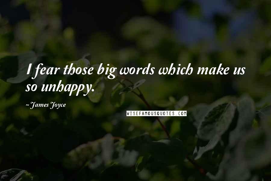 James Joyce Quotes: I fear those big words which make us so unhappy.