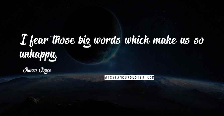 James Joyce Quotes: I fear those big words which make us so unhappy.