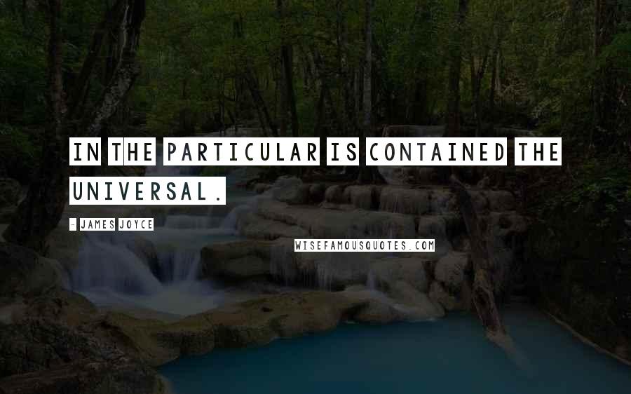 James Joyce Quotes: In the particular is contained the universal.