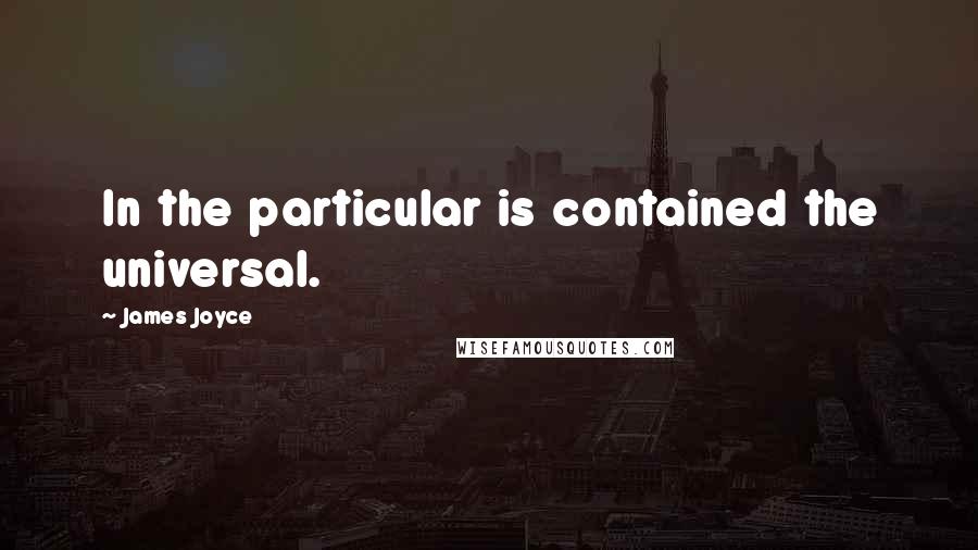 James Joyce Quotes: In the particular is contained the universal.