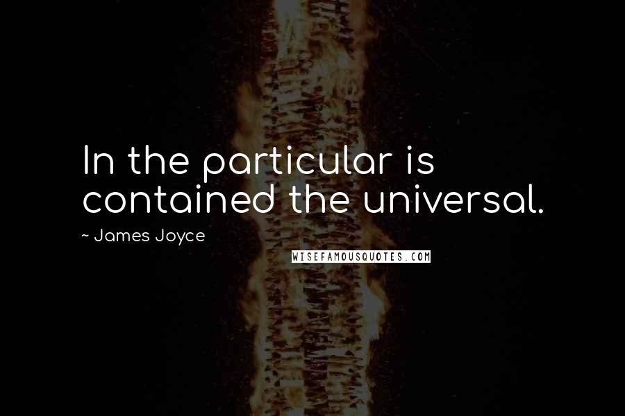 James Joyce Quotes: In the particular is contained the universal.