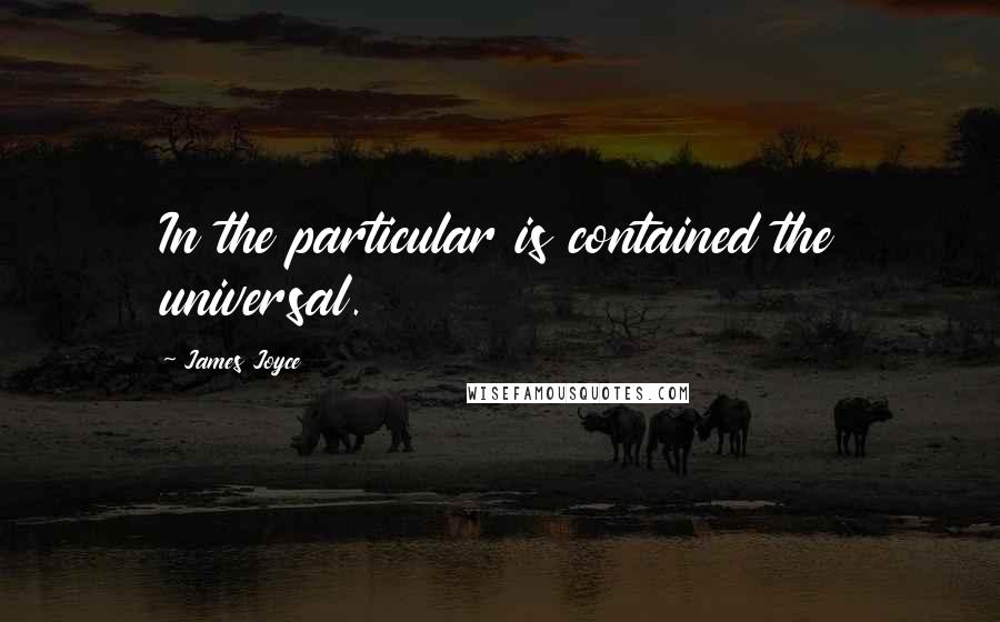James Joyce Quotes: In the particular is contained the universal.