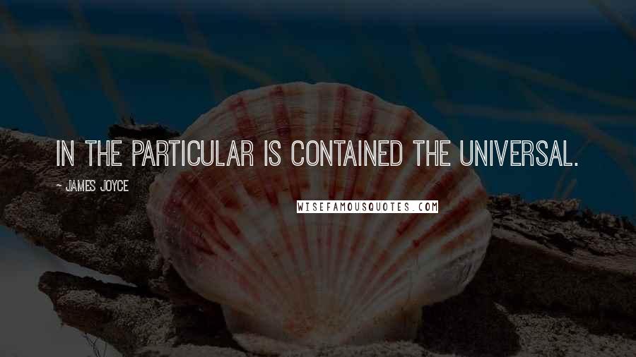 James Joyce Quotes: In the particular is contained the universal.