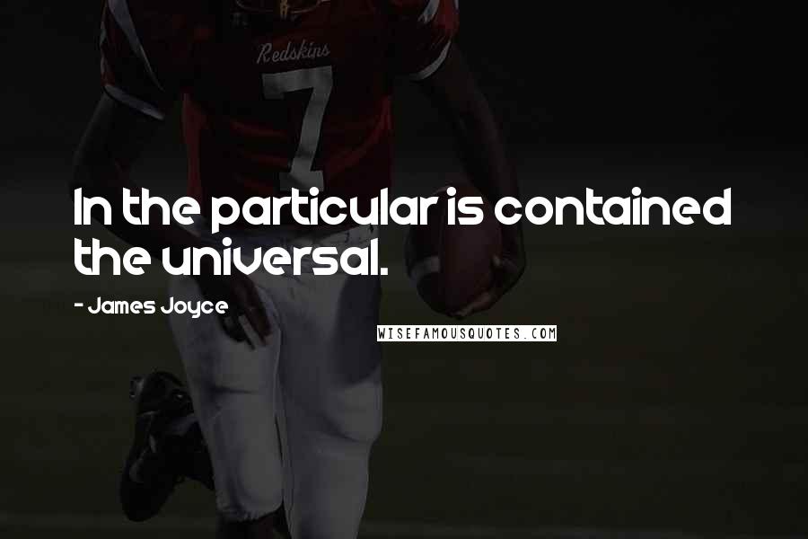 James Joyce Quotes: In the particular is contained the universal.