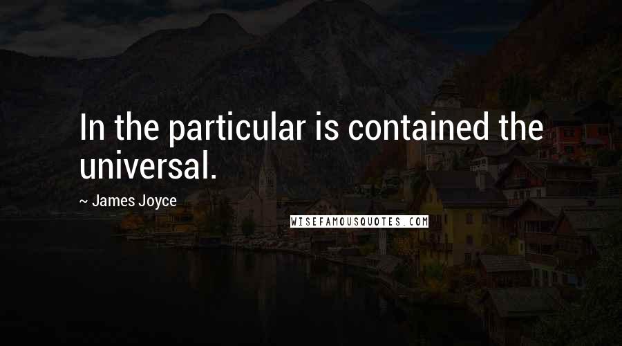 James Joyce Quotes: In the particular is contained the universal.