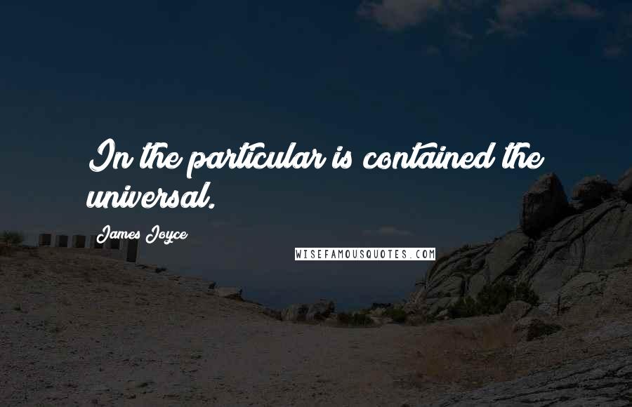 James Joyce Quotes: In the particular is contained the universal.