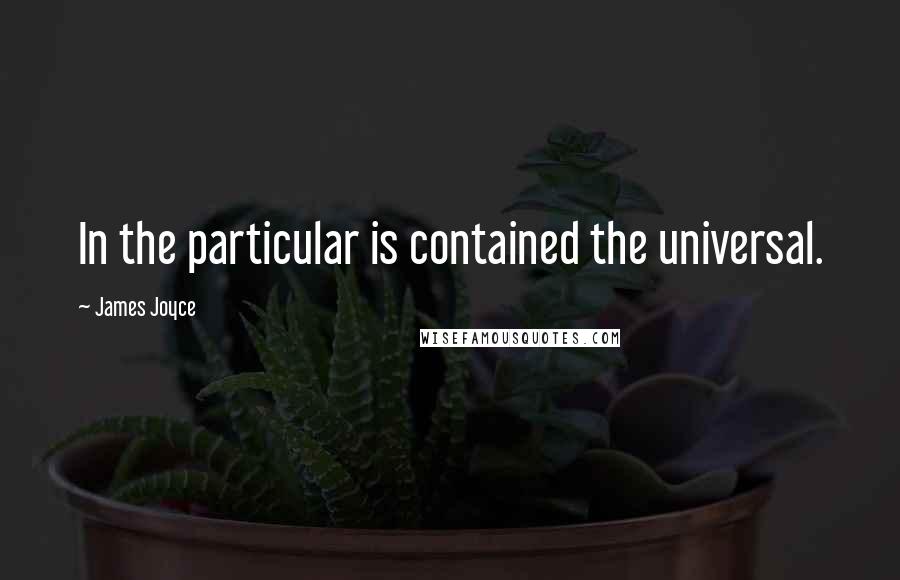 James Joyce Quotes: In the particular is contained the universal.