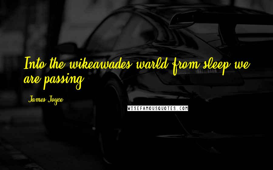 James Joyce Quotes: Into the wikeawades warld from sleep we are passing.