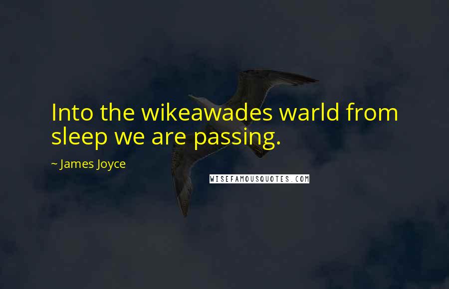 James Joyce Quotes: Into the wikeawades warld from sleep we are passing.