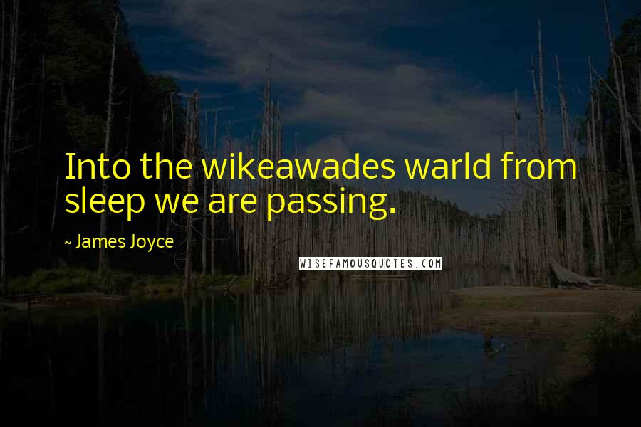 James Joyce Quotes: Into the wikeawades warld from sleep we are passing.