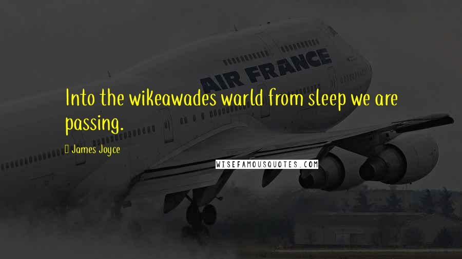 James Joyce Quotes: Into the wikeawades warld from sleep we are passing.