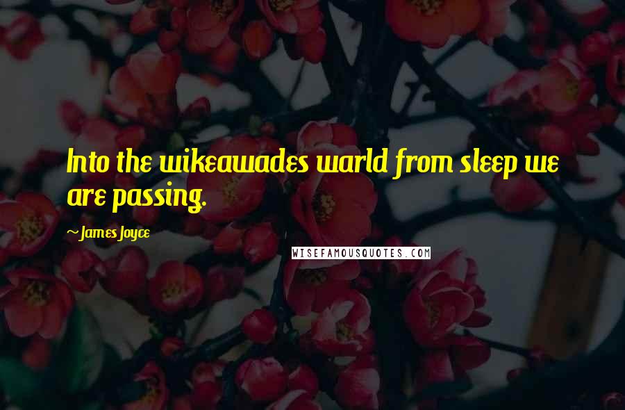 James Joyce Quotes: Into the wikeawades warld from sleep we are passing.