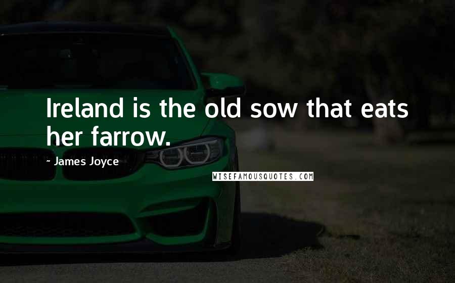 James Joyce Quotes: Ireland is the old sow that eats her farrow.