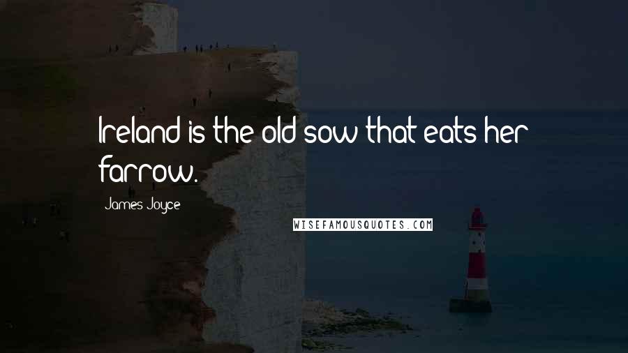 James Joyce Quotes: Ireland is the old sow that eats her farrow.