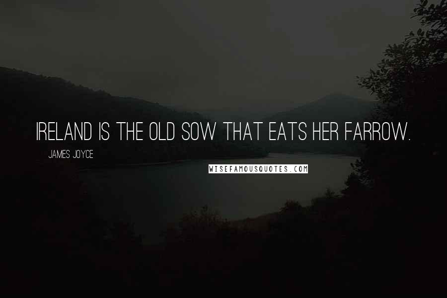 James Joyce Quotes: Ireland is the old sow that eats her farrow.