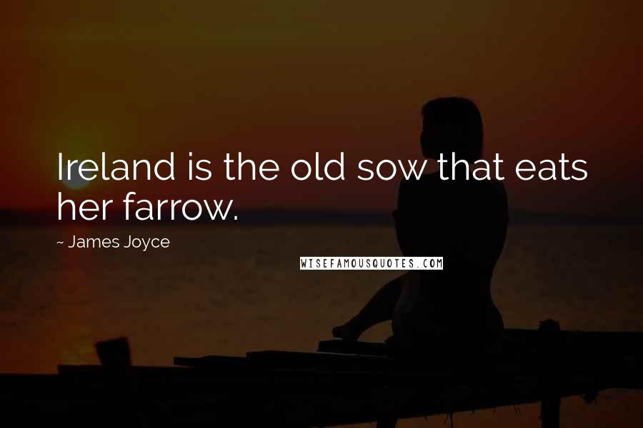 James Joyce Quotes: Ireland is the old sow that eats her farrow.