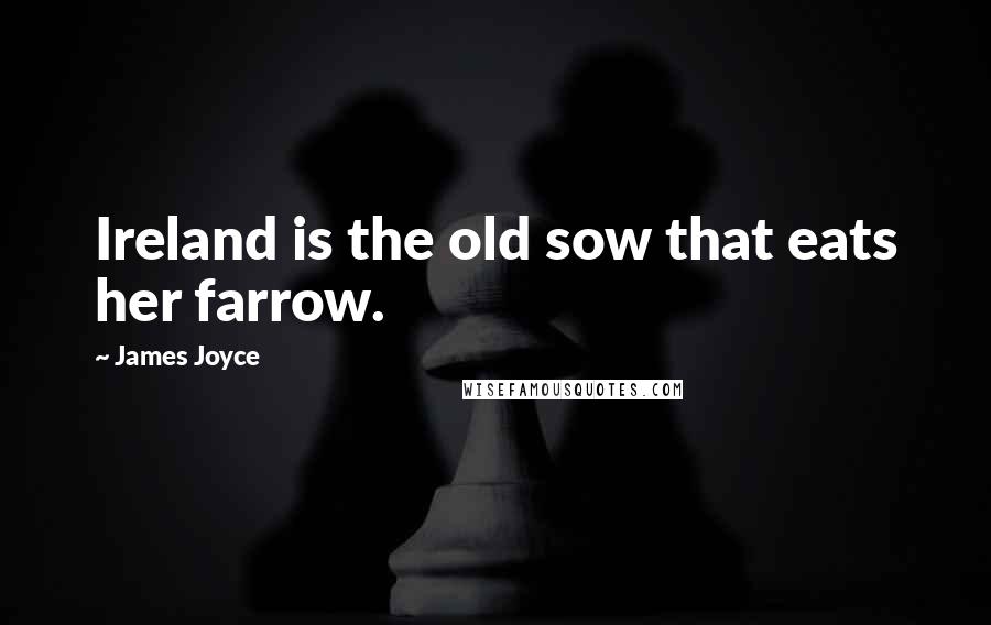 James Joyce Quotes: Ireland is the old sow that eats her farrow.