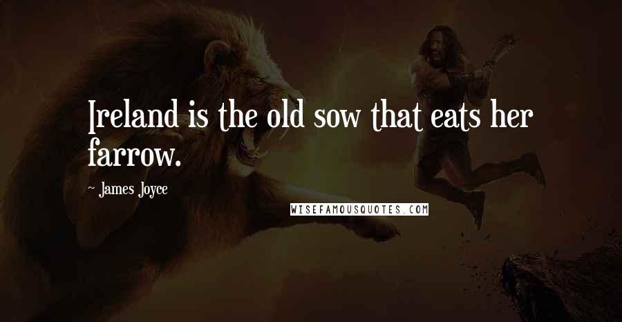 James Joyce Quotes: Ireland is the old sow that eats her farrow.