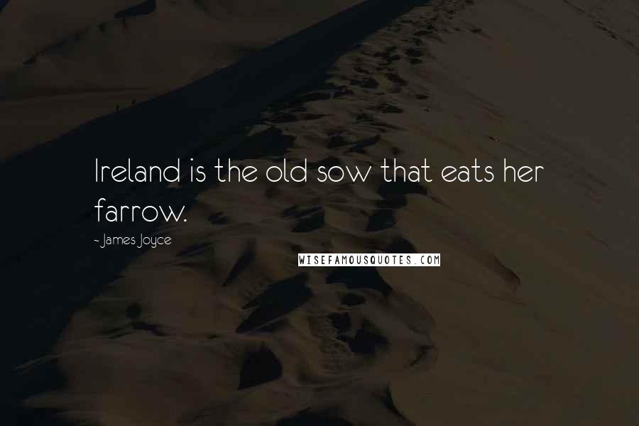 James Joyce Quotes: Ireland is the old sow that eats her farrow.