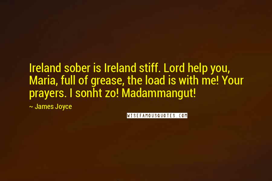 James Joyce Quotes: Ireland sober is Ireland stiff. Lord help you, Maria, full of grease, the load is with me! Your prayers. I sonht zo! Madammangut!