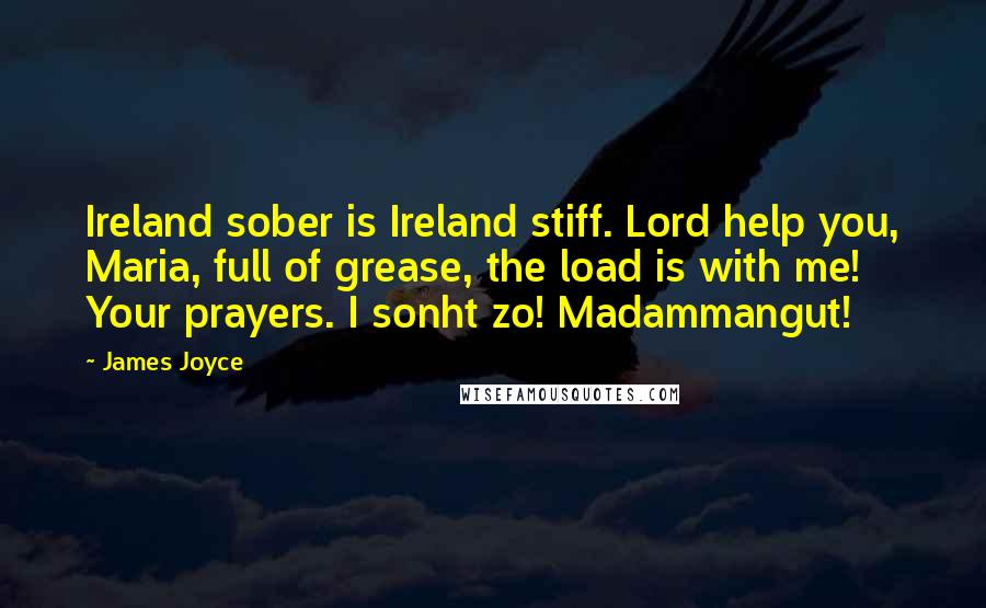 James Joyce Quotes: Ireland sober is Ireland stiff. Lord help you, Maria, full of grease, the load is with me! Your prayers. I sonht zo! Madammangut!