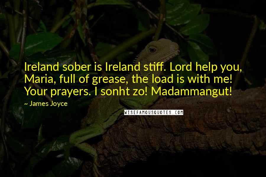 James Joyce Quotes: Ireland sober is Ireland stiff. Lord help you, Maria, full of grease, the load is with me! Your prayers. I sonht zo! Madammangut!