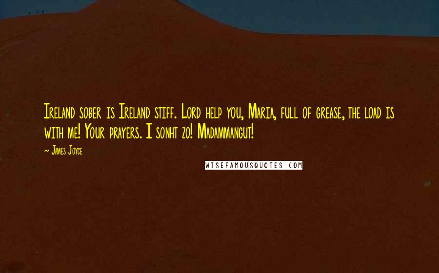 James Joyce Quotes: Ireland sober is Ireland stiff. Lord help you, Maria, full of grease, the load is with me! Your prayers. I sonht zo! Madammangut!