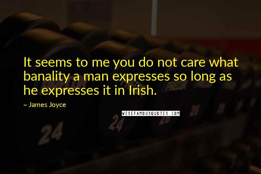 James Joyce Quotes: It seems to me you do not care what banality a man expresses so long as he expresses it in Irish.