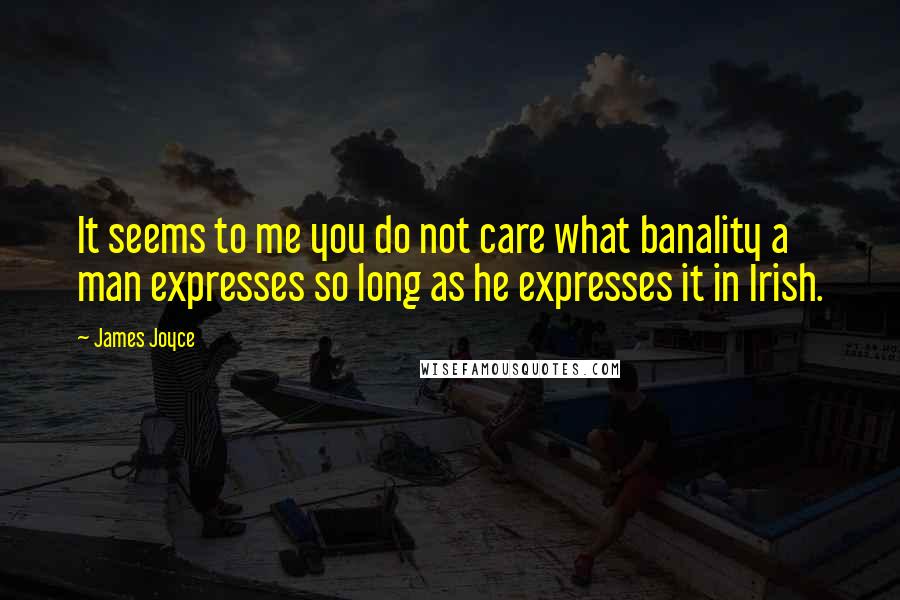 James Joyce Quotes: It seems to me you do not care what banality a man expresses so long as he expresses it in Irish.