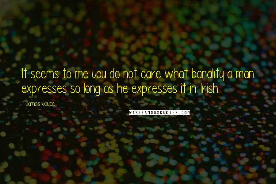 James Joyce Quotes: It seems to me you do not care what banality a man expresses so long as he expresses it in Irish.