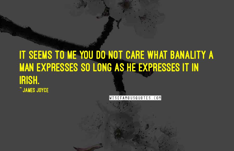 James Joyce Quotes: It seems to me you do not care what banality a man expresses so long as he expresses it in Irish.