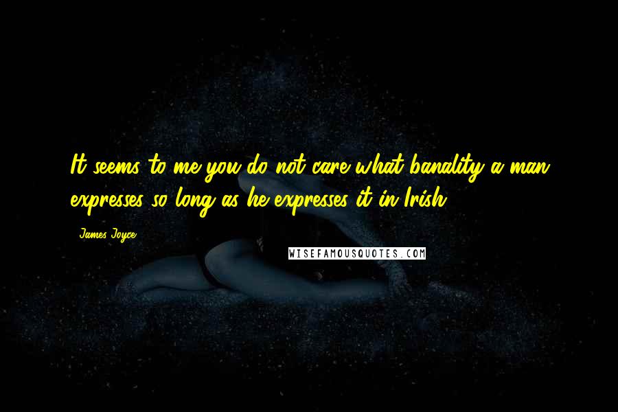 James Joyce Quotes: It seems to me you do not care what banality a man expresses so long as he expresses it in Irish.