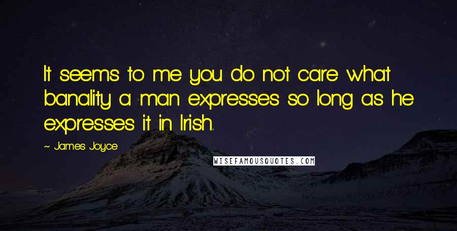 James Joyce Quotes: It seems to me you do not care what banality a man expresses so long as he expresses it in Irish.