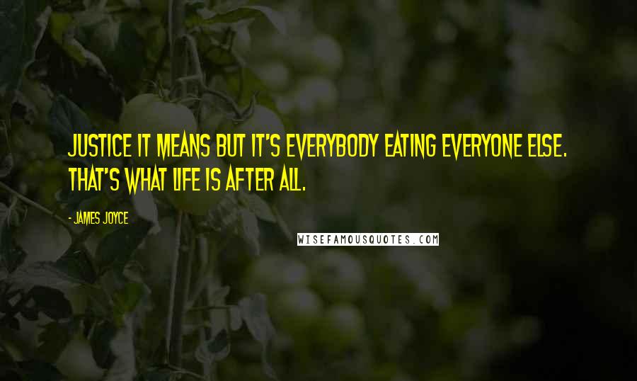 James Joyce Quotes: Justice it means but it's everybody eating everyone else. That's what life is after all.