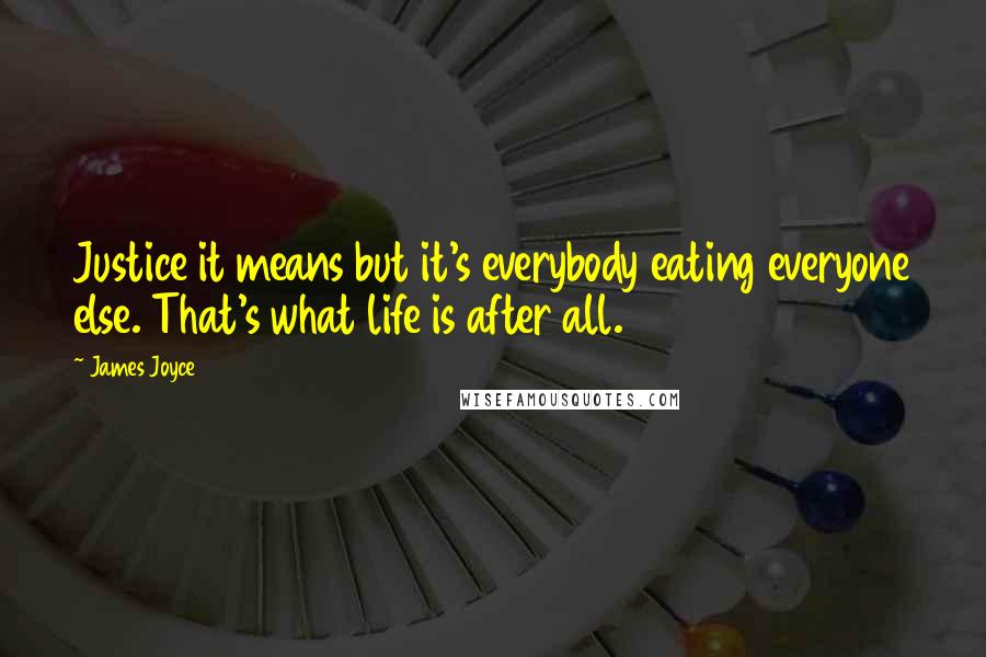 James Joyce Quotes: Justice it means but it's everybody eating everyone else. That's what life is after all.