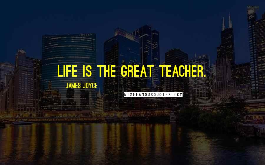 James Joyce Quotes: Life is the great teacher.