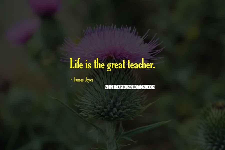 James Joyce Quotes: Life is the great teacher.