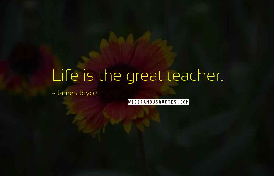 James Joyce Quotes: Life is the great teacher.