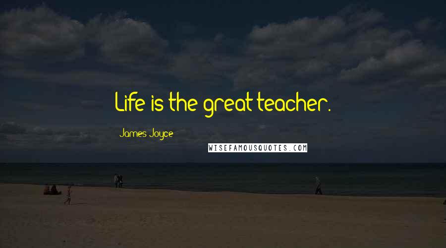 James Joyce Quotes: Life is the great teacher.